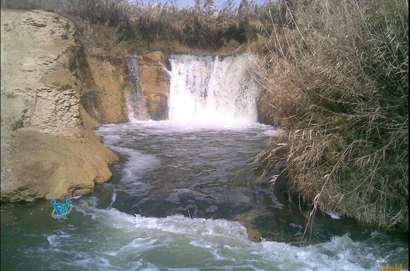 جزيرة المنصورية بأسوان لن تصدق جمالها من الداخل ولكنها تُعاني 5 المنصورية